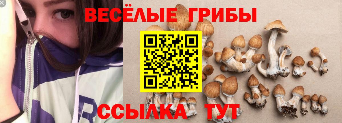 Галлюциногенные грибы ЛСД  Вход с VPN  Ивантеевка 